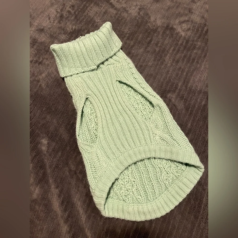 Cozy Mint Green Dog Sweater